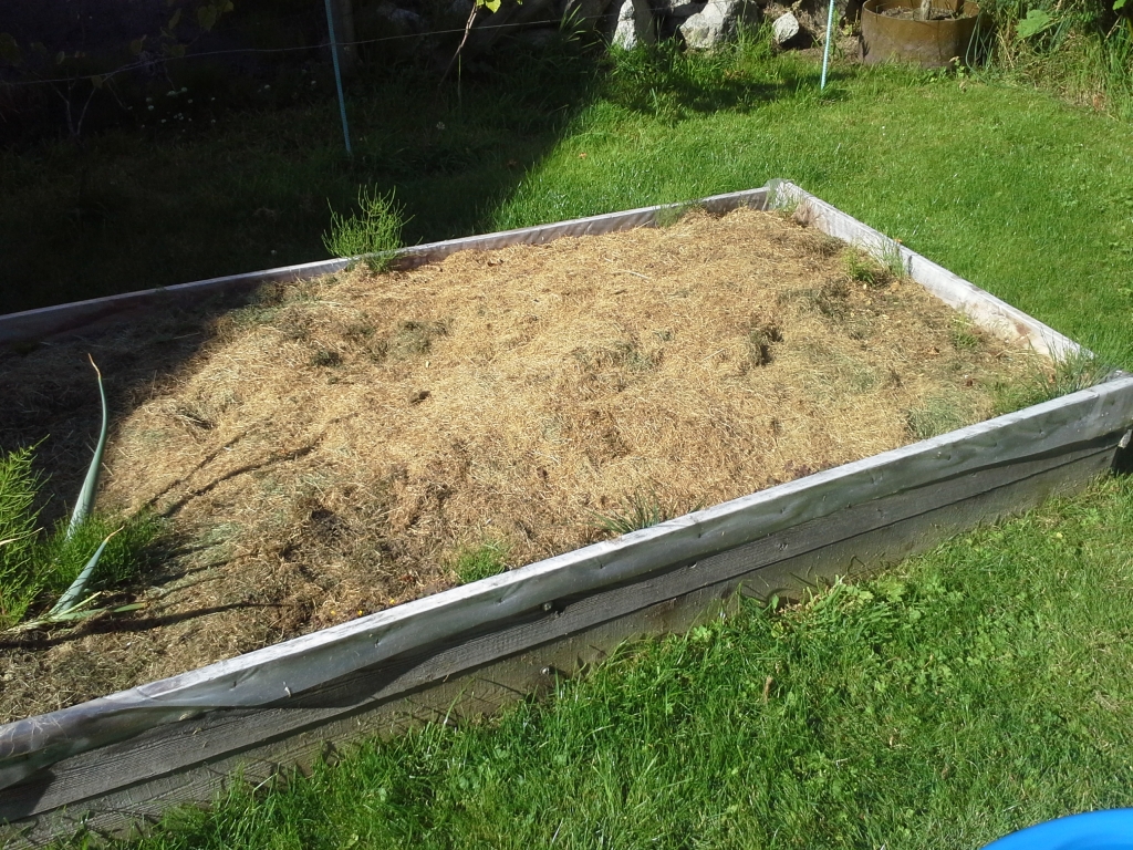 Photo of Garden