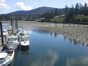 Photo of Rusty Water.