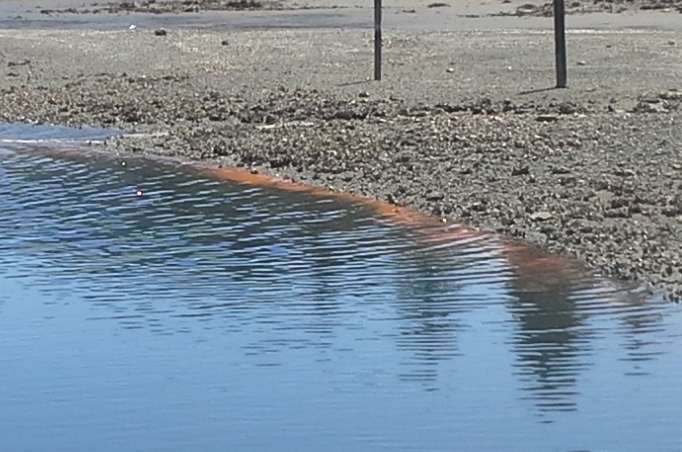 Photo of Rusty Water.