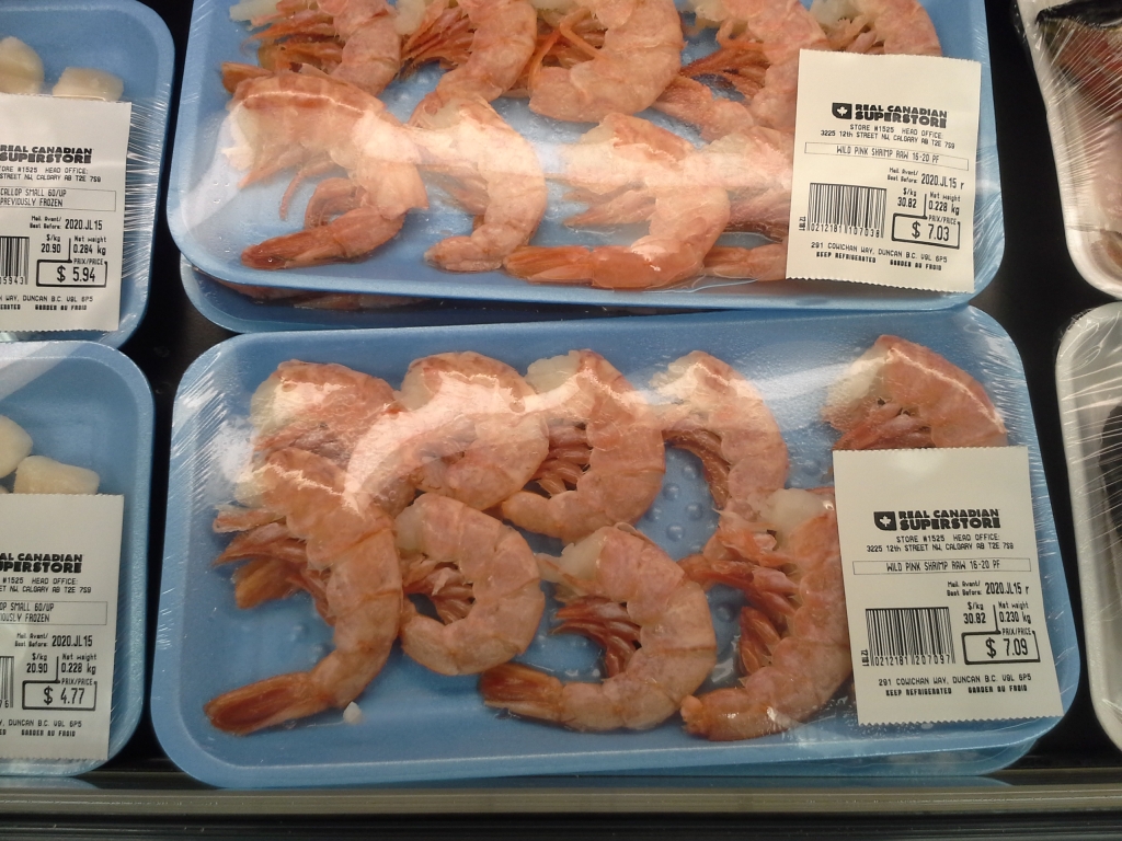 Photo of Pink Shrimp