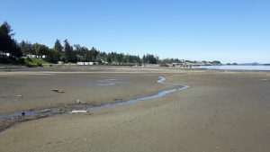 Low Tides
