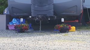Don’t forget the flowers!