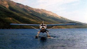 De Havilland Otter
