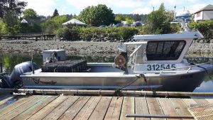 Crab Boats
