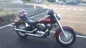 Vulcan Bike