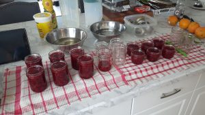 Raspberry Jam