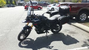 Nice Suzuki!