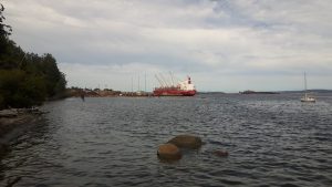 Fenja Bulker