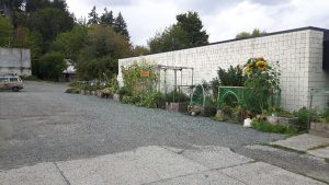 Chemainus Garden